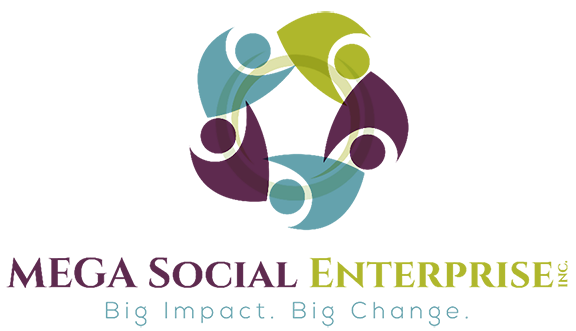 Mega Social Enterprise Inc.