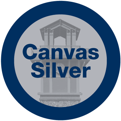 Canvas Silver