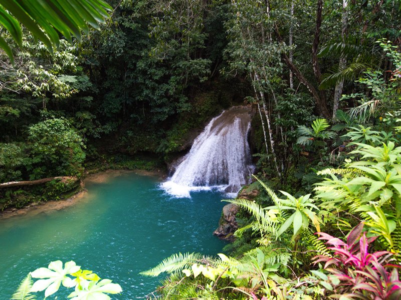 Photo of Jamaica