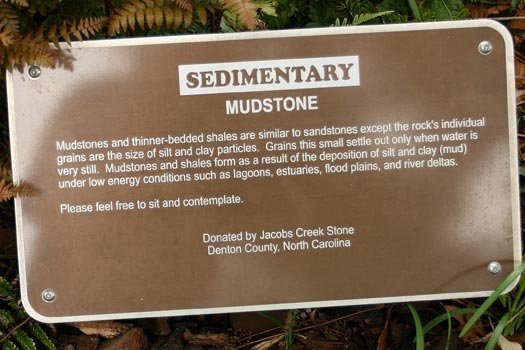 Mudstone