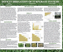 Deficit Irrigation of Turfgrass Systems