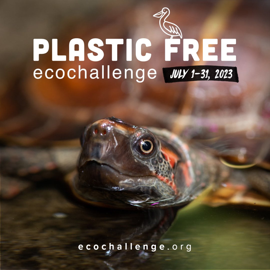 Plastic Free EcoChallenge July 1-31, 2023. Image of turtle with red on sides of face