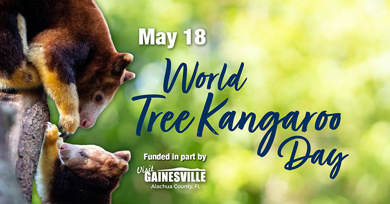 World Tree Kangaroo Day, Saturday May 21 9 a.m. - 3p.m., Santa Fe College Teaching Zoo. Image of tree kangaroo face. Visit Gainesville logo