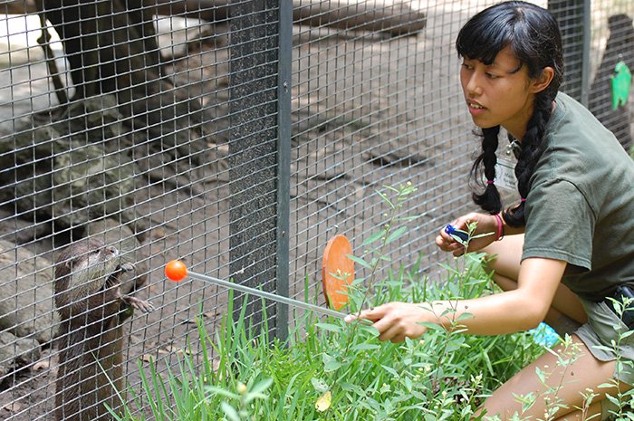 Zookeeper feeding animal