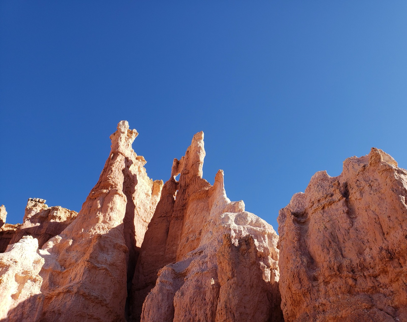 Students on a sandstone formation in Utah