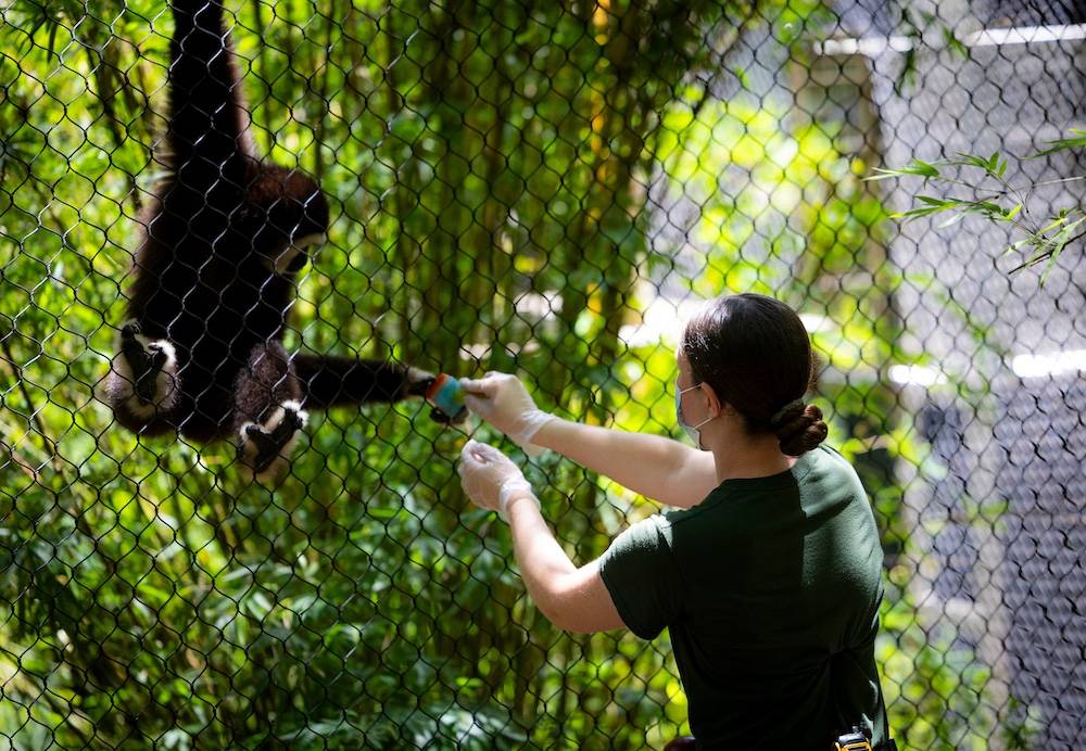 AZA zoo accreditation