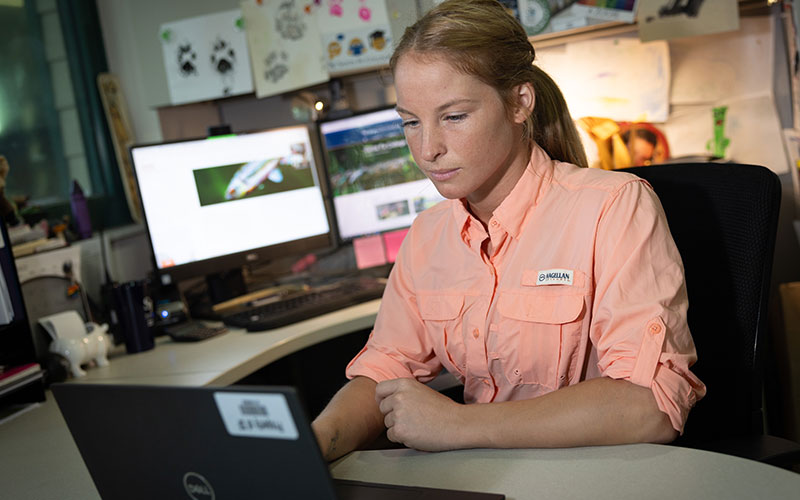 Zoo Organization Management